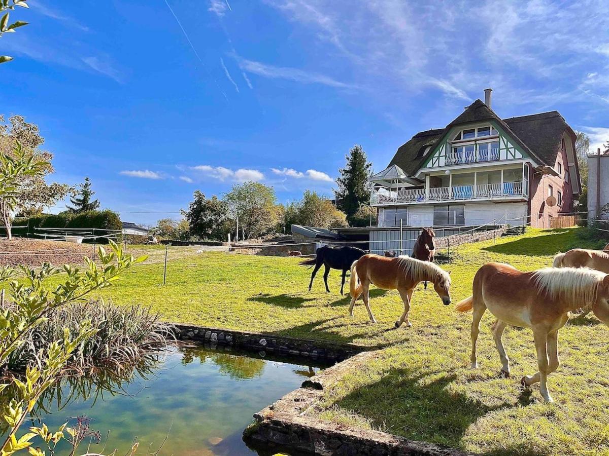 Reet Am Rhein - Chateau Apartment *